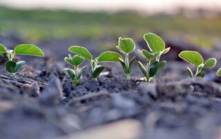 1-illinois-soybean-checkoff-leadership_10