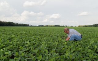 10-agronomics-six-ways-to-amp-up-soybean-scouting_4