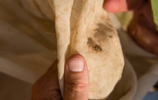 14-agronomy-scouting-for-early-season-insects-in-soybeans