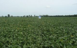 23-illinois-soybean-association-soycam-september-rains-maturity