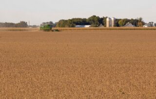 30-agronomics-hitting-100-bushels-in-illinois_0