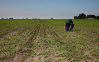 40-agronomy-planting-soybean-considerations_0