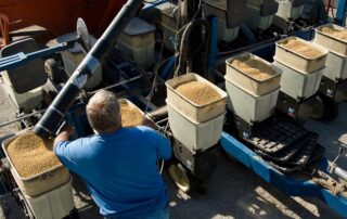 6-soybean-planting-time-season-illinois_1