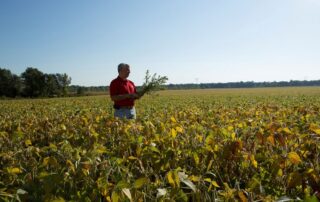 7-weeds-on-target-weed-control