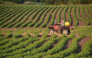 8-illinois-soybean-weed-control