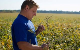 9-weeds-managing-waterhemp_0