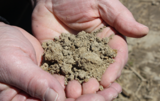 Soil in hands