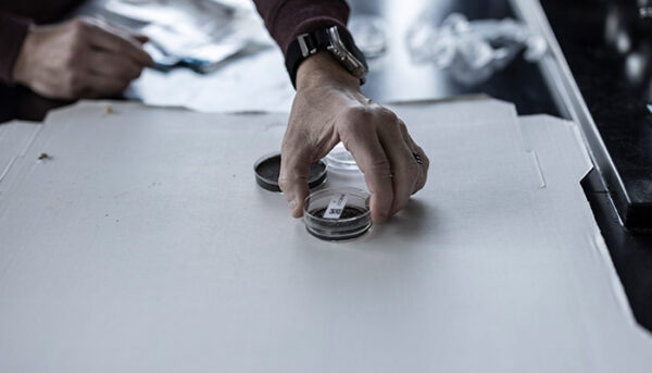 Genetic Engineering-Featured Image