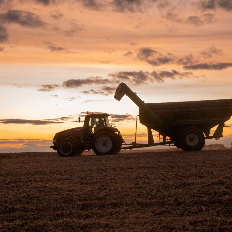 Let’s Talk About 2025 (Briefly), Then Move On to 2026