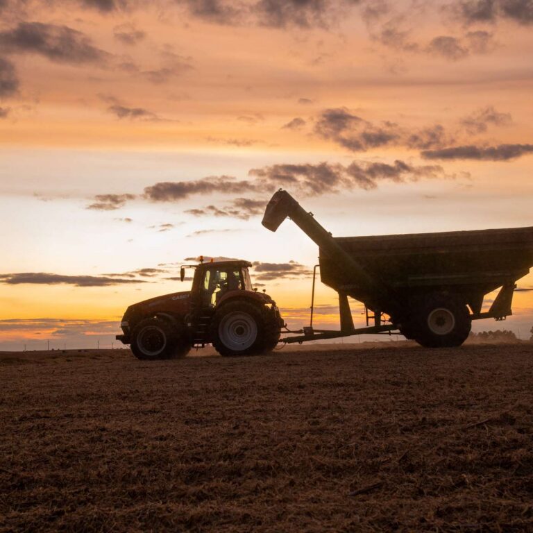 Let’s Talk About 2025 (Briefly), Then Move On to 2026