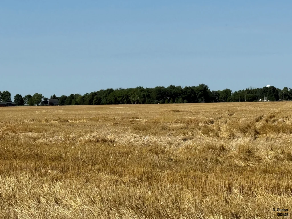 A photo of a harvested wheat field on June 24, 2026 in Macon County, IL